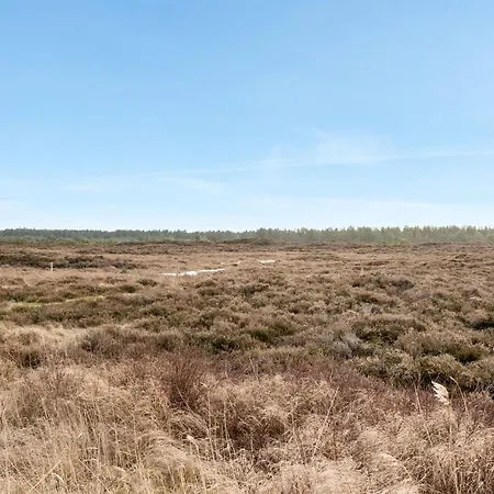 Dietmar - 2-8km From The Sea In Western Jutland By Interhome Holiday home *